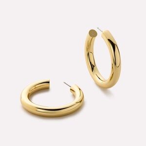 Ana Luisa Tamara Medium Statement Hoop Earrings 14k Gold Plated